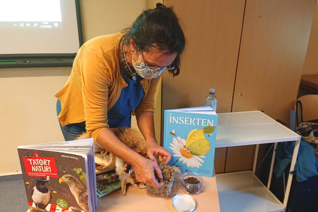 Baerbel Oftring Buch Insekten